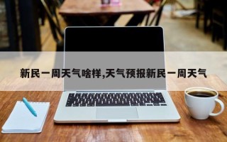 新民一周天气啥样,天气预报新民一周天气