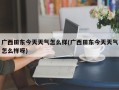 广西田东今天天气怎么样(广西田东今天天气怎么样呀)