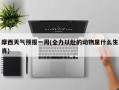 摩西天气预报一周(全力以赴的动物属什么生肖)