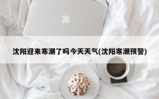 沈阳迎来寒潮了吗今天天气(沈阳寒潮预警)