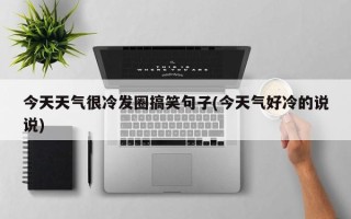 今天天气很冷发圈搞笑句子(今天气好冷的说说)