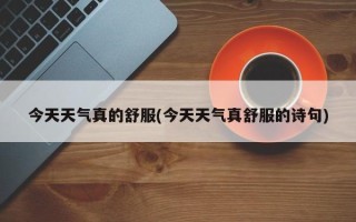 今天天气真的舒服(今天天气真舒服的诗句)