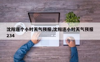 沈阳逐个小时天气预报,沈阳逐小时天气预报234