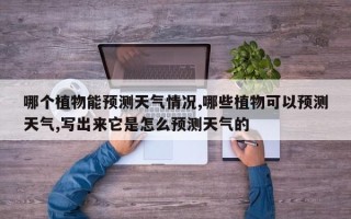 哪个植物能预测天气情况,哪些植物可以预测天气,写出来它是怎么预测天气的