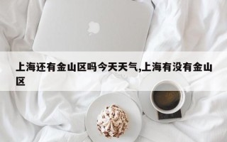 上海还有金山区吗今天天气,上海有没有金山区