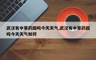 武汉有中草药园吗今天天气,武汉有中草药园吗今天天气如何
