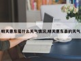 明天惠东是什么天气情况,明天惠东县的天气