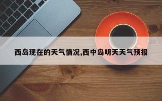 西岛现在的天气情况,西中岛明天天气预报