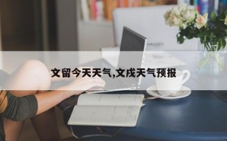 文留今天天气,文戌天气预报