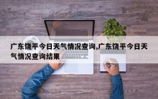 广东饶平今日天气情况查询,广东饶平今日天气情况查询结果