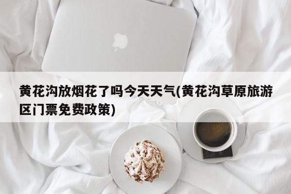 黄花沟放烟花了吗今天天气(黄花沟草原旅游区门票免费政策) 第1张
