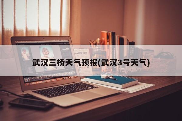 武汉三桥天气预报(武汉3号天气) 第1张