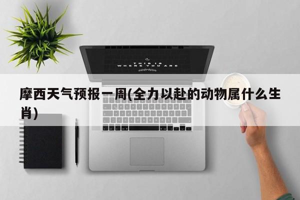 摩西天气预报一周(全力以赴的动物属什么生肖) 第1张