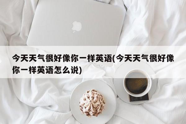 今天天气很好像你一样英语(今天天气很好像你一样英语怎么说) 第1张