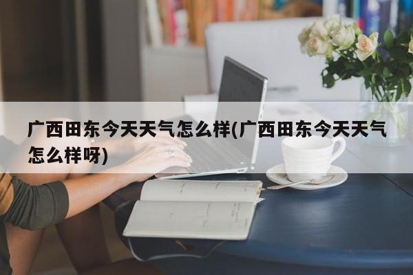 广西田东今天天气怎么样(广西田东今天天气怎么样呀) 第1张