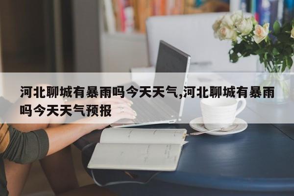 河北聊城有暴雨吗今天天气,河北聊城有暴雨吗今天天气预报 第1张