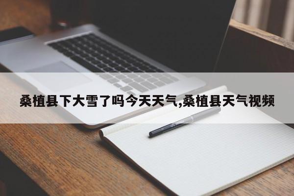 桑植县下大雪了吗今天天气,桑植县天气视频 第1张