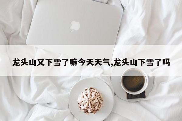 龙头山又下雪了嘛今天天气,龙头山下雪了吗 第1张