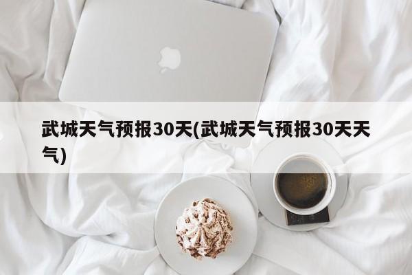 武城天气预报30天(武城天气预报30天天气) 第1张