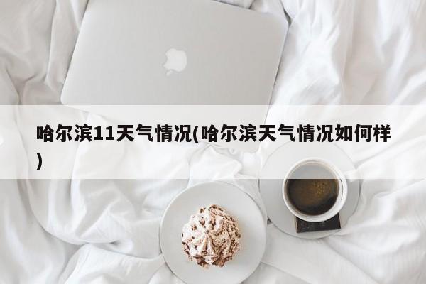 哈尔滨11天气情况(哈尔滨天气情况如何样) 第1张
