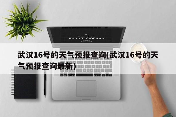 武汉16号的天气预报查询(武汉16号的天气预报查询最新) 第1张