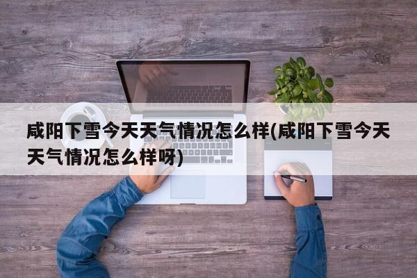咸阳下雪今天天气情况怎么样(咸阳下雪今天天气情况怎么样呀) 第1张