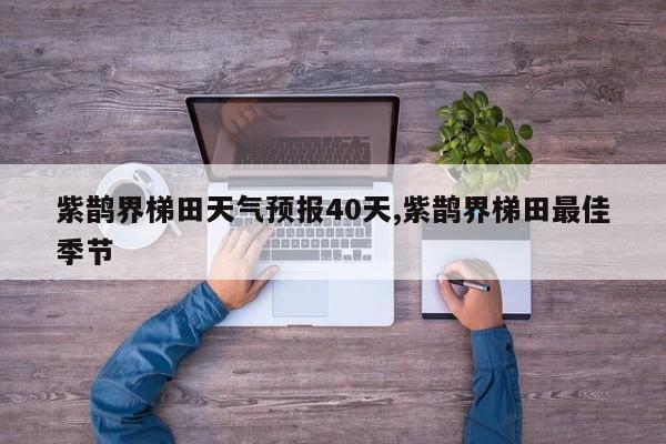 紫鹊界梯田天气预报40天,紫鹊界梯田最佳季节 第1张
