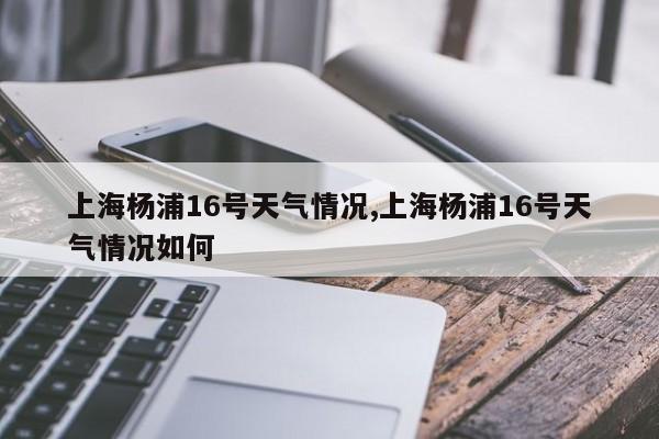 上海杨浦16号天气情况,上海杨浦16号天气情况如何 第1张