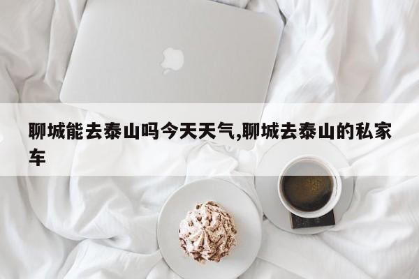 聊城能去泰山吗今天天气,聊城去泰山的私家车 第1张