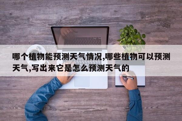 哪个植物能预测天气情况,哪些植物可以预测天气,写出来它是怎么预测天气的 第1张