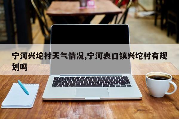 宁河兴坨村天气情况,宁河表口镇兴坨村有规划吗 第1张