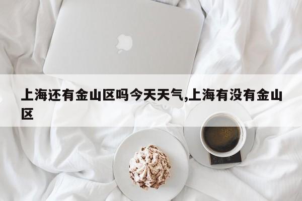 上海还有金山区吗今天天气,上海有没有金山区 第1张