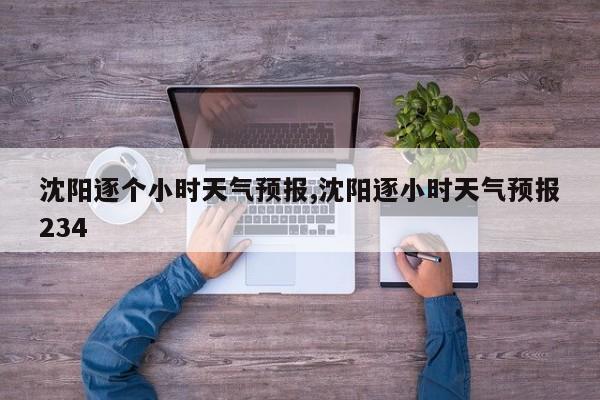 沈阳逐个小时天气预报,沈阳逐小时天气预报234 第1张
