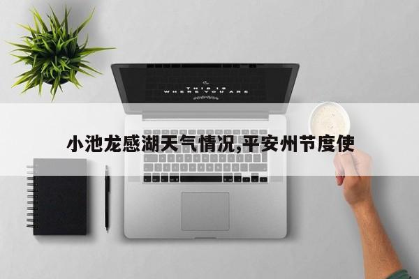 小池龙感湖天气情况,平安州节度使 第1张